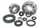Bearings & Seals