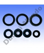 Athena engine oil seal kit Aprilia RS 125 97-12 inc Tuono Extrema Replica RS125 Rotax 122